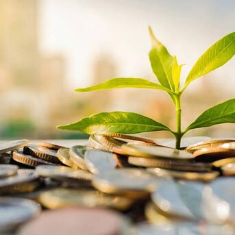 Dammam, Business Partners, -Private Investor Ready With Funds For Investment++