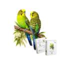 AUD 55,  Wild Budgerigar Wooden Puzzle