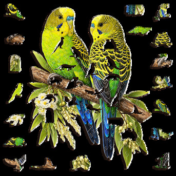 Sydney, Baby & Kid Stuff, AUD 55,  Wild Budgerigar Wooden Puzzle