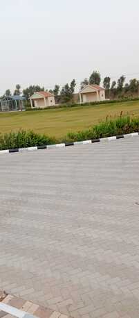 Dammam, Construction, Professional Interlock, Kerbstone Services- Eastern Region