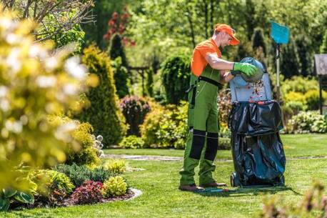 Dammam, Jobs, Garden Cleaners Required Urgently