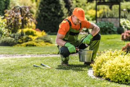 Dammam, Jobs, Garden Cleaners Required Urgently