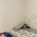 SAR 800/month,  Furnished,  Single Room For Rent