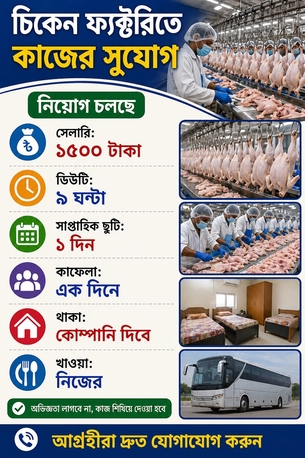 Jeddah, Jobs, চিকেন ফ্যাক্টরির নিয়োগ বিজ্ঞপ্তি
