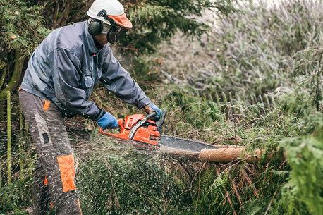 New York, Farm/Garden, Kalispell Tree Care