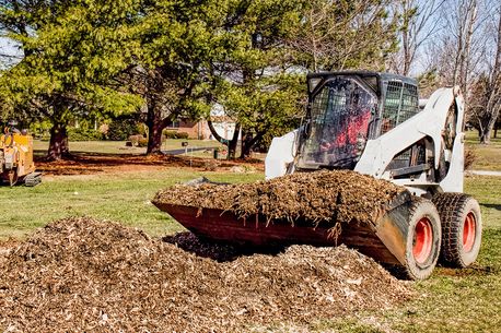 New York, Farm/Garden, Kalispell Tree Care
