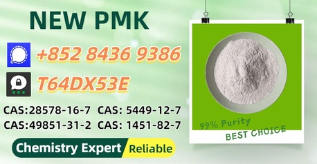 Brisbane, Materials, AUD 200,  Guaranteed Regular Supply P.MK Power CAS 5449-12-7 And 28578-16-7