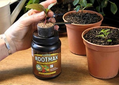 New York, Farm/Garden, Plants Not Growing? Rootmax Fixes It Fast!