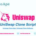 Don&rsquo;t Just Fork A DEX&mdash;Own The Liquidity Game With A Uniswap Clone
