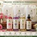 Organic Essential Oils Bulk Supplier In India &ndash; Premium Wholesale Supply