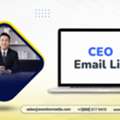 Buy  A Targeted CEO Email List Outreach List For Your Campaigns