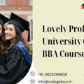 Lovely Professional University Online Bba Courses