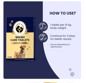 Gurgaon, Pet Sitting, The 30-Second Habit