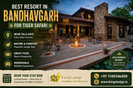 Bhopal, Travel, Best Resort In Bandhavgarh For Tiger Safari