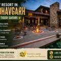Best Resort In Bandhavgarh For Tiger Safari