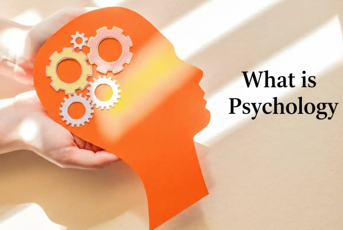 New Delhi, Health, Best Psychology Clinic In East Delhi