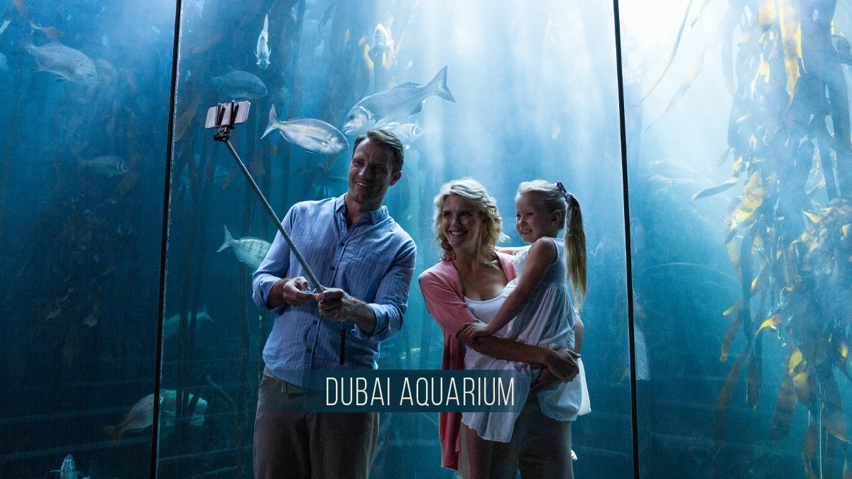 Dubai, Travel, Dubai Aquarium And Underwater Zoo Tickets &ndash; Explore 33,000 Marine Animals