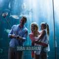 Dubai Aquarium And Underwater Zoo Tickets &ndash; Explore 33,000 Marine Animals