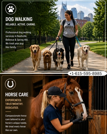 New York, Pet Sitting, Reliable Pet Sitting Services For Brentwood Pet Owners