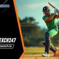 INR 100,  Tiger Exchange 247: Online Betting And Casino Games At TigerExch247