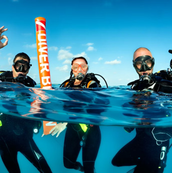 New York, Business, Divocean Dive Charters
