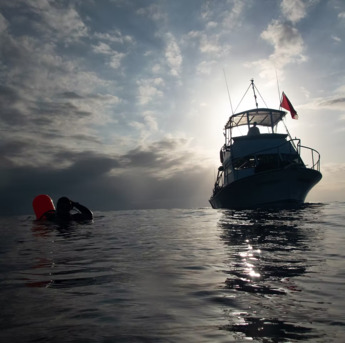 New York, Business, Divocean Dive Charters