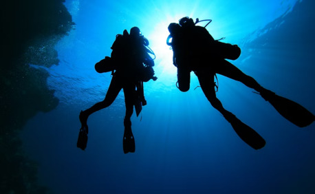 New York, Business, Divocean Dive Charters
