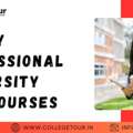 Lovely Professional University MBA Courses