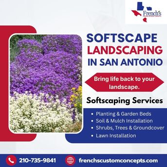 New York, Construction, Softscape Landscaping In San Antonio