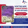 Softscape Landscaping In San Antonio