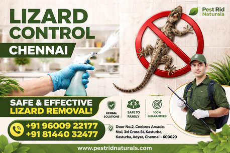Chennai, Pest Control, Lizard Control Services In Chennai | Pest Rid Naturals