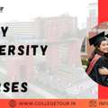 Amity University BBA Courses
