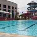 Best Swimming Lessons In Singapore For All Skill Levels