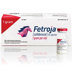 New Delhi, Health, The Role Of A Fetroja Importer In India