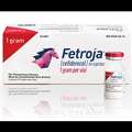The Role Of A Fetroja Importer In India