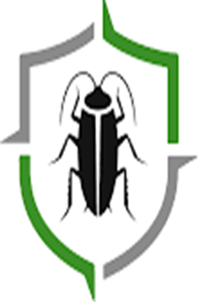 Sydney, Pest Control, Professional Termite Extermination Services