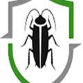 Professional Termite Extermination Services
