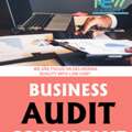 Business Audit Consultant