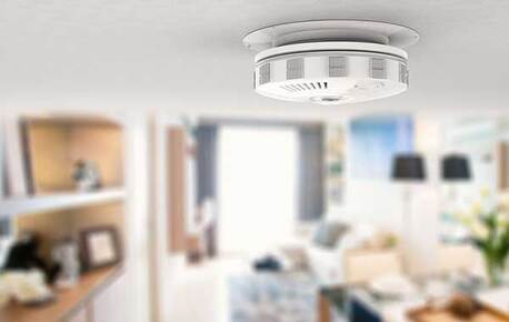 New York, Household, Termite Inspection In Eagle Rock