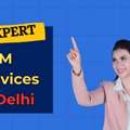 Professional ORM Services In Delhi For Online Brand Protection