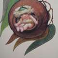 Your Calm, Confident Birth Journey Starts Here - Birth Doula Australia