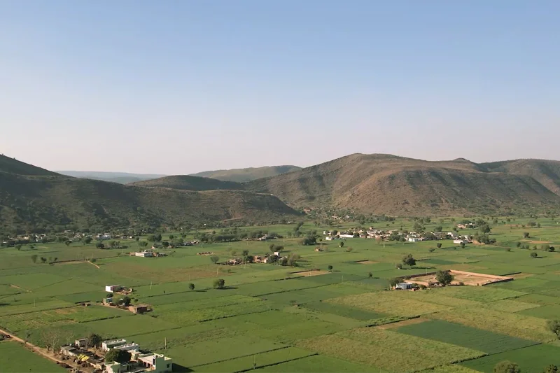 Gurgaon, Apartments, Flats, Houses & Villas, 3 BR,  1250 Sq. Yard,  Premium Farmland In Naugaon For Investment & Farmhouse Living