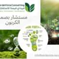 مستشار بصمة الكربون في السعودية الحل الذك