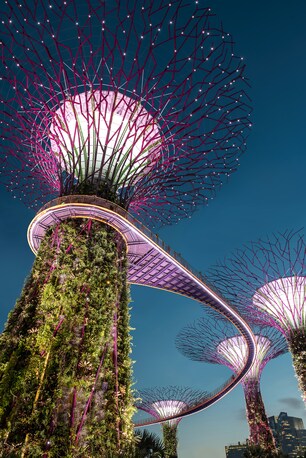 Noida, Travel, Singapore Travel Itinerary + Cost Guide &ndash; Plan Your Perfect Budget Trip | The Tarzan Way