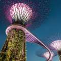 Singapore Travel Itinerary + Cost Guide &ndash; Plan Your Perfect Budget Trip | The Tarzan Way