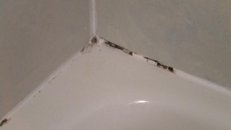 New York, Cleaning, Reliable Grout Restoration Tampa For Fresh Surfaces