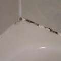 Reliable Grout Restoration Tampa For Fresh Surfaces