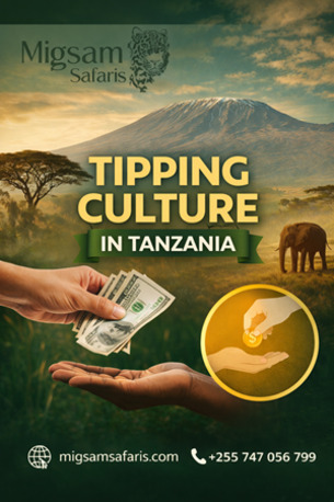 Dar es Salaam, Travel, Tipping In Tanzania Made Simple &ndash; Know What To Give & When