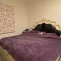 SAR 1,  King Size 200*200 Bed Free