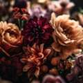 Luxury Lavish Flowers With Stunning Floral Designs